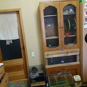 Продам клетку для шиншилл.  Шкаф-клетка разделена на два отделения. Ве