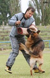 Немчарята от лучших производителей